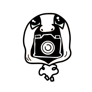 Logo evento GASHADOKURO